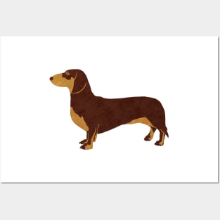 Sausage dog (Daschund) Posters and Art